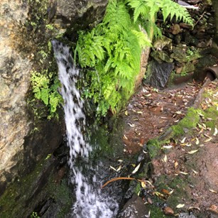 kleiner erfrischender Wasserfall 
